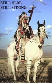 Still Here Still Strong Native American Heritage Native American Horses Native American Images