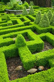 How To Build A Knot Garden 40 Photo Designs In 2020 Topiary Plants Charming Garden Planting Bulbs