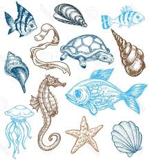10 Drawings Of Ocean Life Sea Animals Drawings Ocean Life Animal Drawings