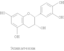 Image result for Corynanthe