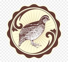 Gambar burung lovebird biola cantik youtube p yang ingin tahu ciri umum burung lovebird parblue standar hijau meracik makanan lovebird terbaik agar rajin ngekek panjang. Burung Puyuh Png Bobwhite Quail Drawing Transparent Png Vhv