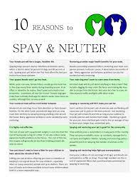 10 Reasons To Spay Neuter Your Pet Getting A Kitten Dog Spay Dog Care Tips