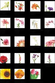 Check spelling or type a new query. Language Of Flower Different Types Flowers Embroidery Flower Types Full Size Png Download Seekpng
