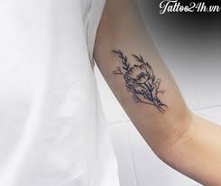 We did not find results for: Hinh XÄƒm Ca Tinh á»Ÿ Báº¯p Tay