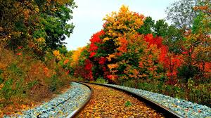 We did not find results for: 39 Best Free Autumn Wallpapers