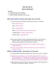 Design custom worksheets in 5 minutes ➤ hundreds of templates, 2m+ photos, 130+ fonts. Glg103 Lab 10 Glaciers Worksheet Completed Glg 103 Lab 10 Glacier Worksheet Directions A Complete All Of The Items On This Page B Save The Document Course Hero