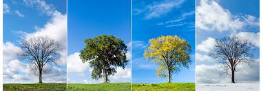 Prier sau luna lui aprilie. Care Sunt Lunile Anului In Limbaj Popular