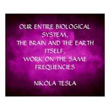 Nikola Tesla Quote Same Frequencies Poster Zazzle Com In 2021 Tesla Quotes Nikola Tesla Quotes Nikola Tesla