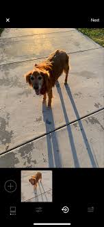 See more ideas about photo editing vsco, photography filters, best vsco filters. How To Create And Apply A Recipe The Vsco Help Center