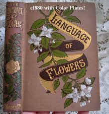 Language of flowers book club questions. Language Of Flowers Ca 1880 Book Cover Art Language Of Flowers Vintage Book Covers