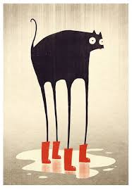 Animal Cat Art Funny Art Animal Art