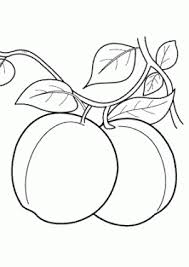 And all is for free! Free Coloring Pages For Kids Online And Printables Activities On Coloring 4kids Com Best Colorin Fruit Coloring Pages Fruits Coloring Pages Fruits Coloring