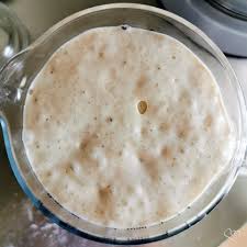 Quando ho cominciato ad utilizzarlo avevo in casa sia il lievito dello chef de vita che quello delle simili e quello. Come Conservare Il Lievito Madre Liquido E Solido Pan Brioche