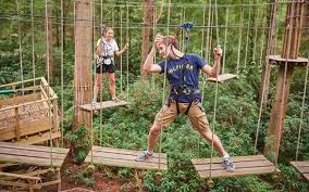 There is nothing quite like being out on the open road with the windows down and your favorite music on the radio. Go Ape Tree Top Challenge Forestry England