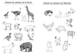 autour des animaux les activites de maman la savane activite artisanat science espace et astronomie coloriages