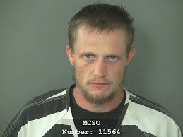 Montgomery County Precinct 4 arrests 12