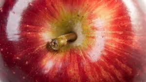 Cashew apple (frucht des tropischen kaschubaumes: Apfel Allergie Diese Apfel Sind Fur Allergiker Vertraglich Br24
