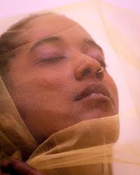 True Lenses Photography (@truelenses) • Instagram photos and videos