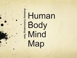 Mastering anatomy truly does begin with an exceptional atlas. Human Body Mind Map Project Ppt