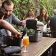 Bonsai Workshop at Tox Brewing Company event image