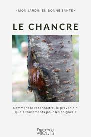 Epingle Sur Verger Fruitiers Et Petits Fruits Rouges