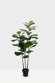 Wholesale suppliers of imported mexican, thailan and maylaysia pottery along with a complete line of fountains, vases, urns, wrought iron and wood window frames. China Wholesale Artificial Plants Atificial Ficus Lyrata Tree Home Decoration Landscaping Potted Plants China Artificial Plant And Artificial Flowers Price