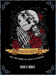 I guns n' roses sono un gruppo musicale hard rock statunitense, formatosi a los angeles nel 1985. Gn R 30 Years Of Patience By Gn R Truth Skull Artwork Guns N Roses Guns And Roses