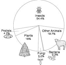 classification