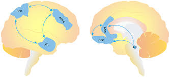 Una película basada en su vida. Frontiers Agitation And Dementia Prevention And Treatment Strategies In Acute And Chronic Conditions Neurology