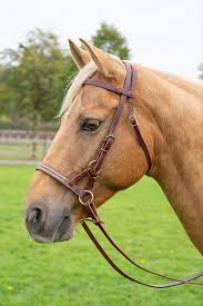 Western Sidepull Bridle Russet In 2020 Paard Halsters Hoofdstellen Paarden
