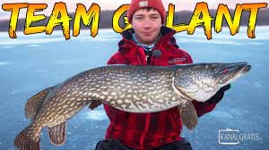 Where was harry gustaf nikolai gadda born and raised? Ismete Stor Pelagisk Gadda Team Galant English Subtitles Youtube
