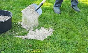 Rasensand Richtig Aufbringen Selbst De Unkraut Im Garten Rasen Garten Hochbeet