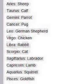 Signs As Animals Zodiac Zodiac Signs Animals Zodiac Signs Aquarius Zodiac Signs
