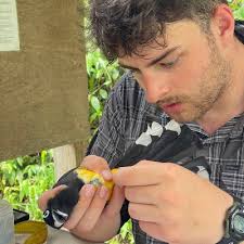 Help Keep BirdsCaribbean Soaring!