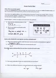 17 Kingdom Of Mocha Worksheet Answers Worksheet Resource Plans