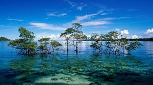 Free Download For Women Traveling In India An Ace Guide To Exotic Places In India 1600x900 For Your Desktop Mobile Tablet Explore 39 Exotic Places Wallpaper Exotic Beach Wallpaper Find exotic places pictures and exotic places photos on desktop nexus. wallpaper exotic beach wallpaper