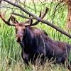 New hunting marketplace may be next industry disruptor bookyourhunt is the new online service that's poised to. 1