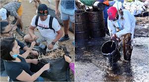 See full list on wikihow.com Volunteers Donate Hair Help Build Floating Booms With Waste To Battle Mauritius Oil Spill Trending News The Indian Express