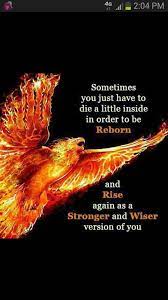 Yessss Phoenix Phoenix Quotes Bird Quotes Wisdom Quotes