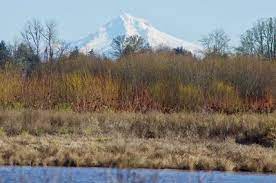 Jackson bottom wetlands trail map. Jackson Bottom Loop Hike Hiking In Portland Oregon And Washington