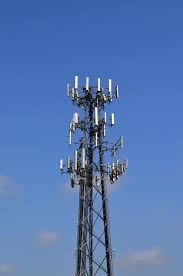 Animal kingdom cell phone tower. New Jersey Pinelands Commission Planning For Wireless Communication Facilities