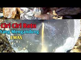 Karena itulah ayam jenis ini selalu menjadi primadona bagi para pecinta ayam terutama ayam petarung. Ciri Ciri Batu Yg Mengandung Emas Youtube