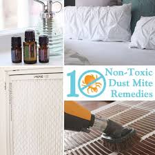 10 Non Toxic Dust Mite Remedies For Your Home Pretty Handy Girl Dust Mites Allergy Cleaning Dust Mite Allergy