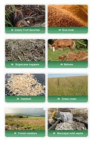 Sources of biomass energy in malaysia. About Biomass Mbic