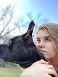 How to find a lost dog in Americus, Ga?