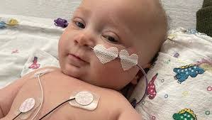 Abigail Dutton's Instagram, Twitter & Facebook