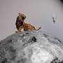 Profile Picture of Au Sow-Yee Solo Exhibition: STILL ALIVE - TheCube Project Space (@thecubespace.com) on Google