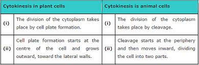 Unlike animal cells, plant cells have cell walls and organelles called chloroplasts. What Are The Differences Between Plants And Animals Mccnsulting Web Fc2 Com