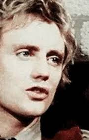 Rogertaylorxreader Stories