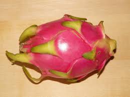 Cactus fruit is really fun to eat, if you don't have any of the cacti near where you live, you can sometimes find them in grocery stores. Free Images Sweet Flower Petal Food Produce Colorful Pink Juicy Eat Dragon Fruit Vitamins Exoticism Flowering Plant Cactus Greenhouse Cactus Fruit Pitaya Pitahaya Land Plant Hylocereus Monacanthus Tropical Cactus Fruit 3264x2448